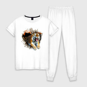 Женская пижама хлопок с принтом Тигр в Екатеринбурге, 100% хлопок | брюки и футболка прямого кроя, без карманов, на брюках мягкая резинка на поясе и по низу штанин | animal | tiger | арт | животное | полосатый | рисунок | тигр | хищная кошка | хищник