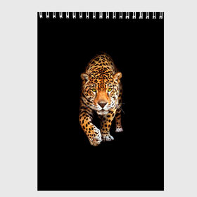 Скетчбук с принтом Ягуар в Екатеринбурге, 100% бумага
 | 48 листов, плотность листов — 100 г/м2, плотность картонной обложки — 250 г/м2. Листы скреплены сверху удобной пружинной спиралью | Тематика изображения на принте: animal | art | black | cat | hunter | jaguar | leopard | арт | гепард | голова | животное | животные | зверь | клыки | кот | кошка | леопард | охотник | темнота | хищник | ягуар