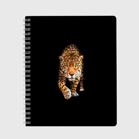 Тетрадь с принтом Ягуар в Екатеринбурге, 100% бумага | 48 листов, плотность листов — 60 г/м2, плотность картонной обложки — 250 г/м2. Листы скреплены сбоку удобной пружинной спиралью. Уголки страниц и обложки скругленные. Цвет линий — светло-серый
 | animal | art | black | cat | hunter | jaguar | leopard | арт | гепард | голова | животное | животные | зверь | клыки | кот | кошка | леопард | охотник | темнота | хищник | ягуар
