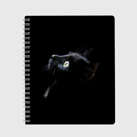 Тетрадь с принтом Кот в Екатеринбурге, 100% бумага | 48 листов, плотность листов — 60 г/м2, плотность картонной обложки — 250 г/м2. Листы скреплены сбоку удобной пружинной спиралью. Уголки страниц и обложки скругленные. Цвет линий — светло-серый
 | Тематика изображения на принте: animal | animals | beast | black | cat | kitten | британец | британка | животное | животные | зверек | зверь | кот | котейка | котенок | котики | котэ | кошка | кошки | черная