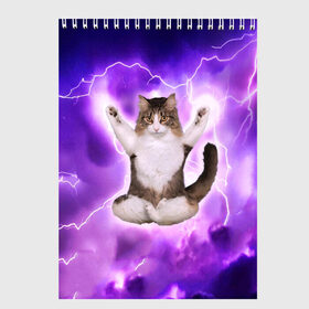 Скетчбук с принтом Повелитель Молний Котэ в Екатеринбурге, 100% бумага
 | 48 листов, плотность листов — 100 г/м2, плотность картонной обложки — 250 г/м2. Листы скреплены сверху удобной пружинной спиралью | cat | cats | kitten | kitty | memes | nice | punk | rain | yoga | грозы | дождь | йога | кот | котик | котики | котэ | кошка | медитация | мем | мемы | милая | милый | молнии | панк | приколы | рок | рэп | трэш