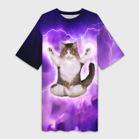 Платье-футболка 3D с принтом Повелитель Молний | Котэ в Екатеринбурге,  |  | cat | cats | kitten | kitty | memes | nice | punk | rain | yoga | грозы | дождь | йога | кот | котик | котики | котэ | кошка | медитация | мем | мемы | милая | милый | молнии | панк | приколы | рок | рэп | трэш
