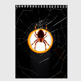 Скетчбук с принтом Spider в Екатеринбурге, 100% бумага
 | 48 листов, плотность листов — 100 г/м2, плотность картонной обложки — 250 г/м2. Листы скреплены сверху удобной пружинной спиралью | animal | hunter | spider | животное | животные | лапы | охота | охотник | паук | паутина | хищник