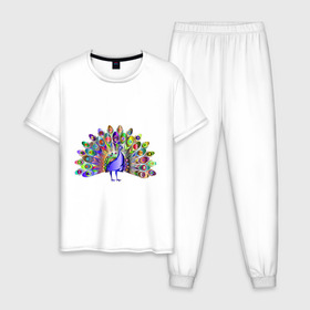 Мужская пижама хлопок с принтом Павлин в Екатеринбурге, 100% хлопок | брюки и футболка прямого кроя, без карманов, на брюках мягкая резинка на поясе и по низу штанин
 | Тематика изображения на принте: peacock | животные | павлин | птица