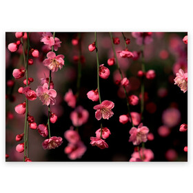 Поздравительная открытка с принтом Весна 2020. в Екатеринбурге, 100% бумага | плотность бумаги 280 г/м2, матовая, на обратной стороне линовка и место для марки
 | весенние картинки | весна | весна 2020 | зелнь | прекрасное время года | прикольные картинки | природа | птицы | тюльпаны | цветы