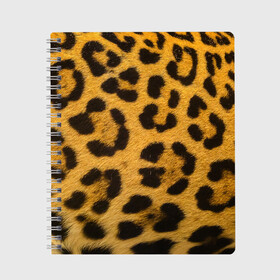 Тетрадь с принтом Леопард в Екатеринбурге, 100% бумага | 48 листов, плотность листов — 60 г/м2, плотность картонной обложки — 250 г/м2. Листы скреплены сбоку удобной пружинной спиралью. Уголки страниц и обложки скругленные. Цвет линий — светло-серый
 | Тематика изображения на принте: abstract | animal | cat | leopard | texture | абстракция | гепард | животное | животные | зверь | кот | кошка | леопард | охотник | паттерн | полигоны | текстура | узор | хищник