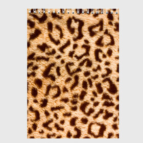 Скетчбук с принтом Леопард в Екатеринбурге, 100% бумага
 | 48 листов, плотность листов — 100 г/м2, плотность картонной обложки — 250 г/м2. Листы скреплены сверху удобной пружинной спиралью | abstract | animal | cat | leopard | texture | абстракция | гепард | животное | животные | зверь | кот | кошка | леопард | охотник | паттерн | полигоны | текстура | узор | хищник