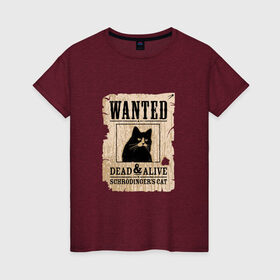 Женская футболка хлопок с принтом Кот в Екатеринбурге, 100% хлопок | прямой крой, круглый вырез горловины, длина до линии бедер, слегка спущенное плечо | cat | wanted | живым или мертвым | кот | кот шредингера | котэ | опасен | разыскивается | чёрный кот