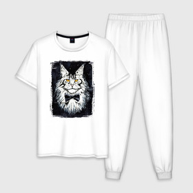 Мужская пижама хлопок с принтом Hello kittys! в Екатеринбурге, 100% хлопок | брюки и футболка прямого кроя, без карманов, на брюках мягкая резинка на поясе и по низу штанин
 | Тематика изображения на принте: акварельный | арт | галстук бабочка | глаза | кот | коты | котяра | кошка | крутая рисунок | мейнкун | мейнкуны | мех | мэйн кун | портрет | рисованный | скетч | стильная | чёрный