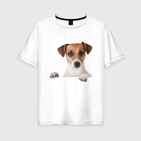 Женская футболка хлопок Oversize с принтом Собака в Екатеринбурге, 100% хлопок | свободный крой, круглый ворот, спущенный рукав, длина до линии бедер
 | джек рассел | друг | пес | питомец | собака