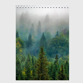 Скетчбук с принтом Лес в Екатеринбурге, 100% бумага
 | 48 листов, плотность листов — 100 г/м2, плотность картонной обложки — 250 г/м2. Листы скреплены сверху удобной пружинной спиралью | siberia | trees | wood | деревья | ели | ёлки | ель | зеленый лес | лес | леса | природа | сибирский лес | сибирь | тайга | туман