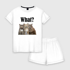 Женская пижама с шортиками хлопок с принтом Удивленные кошки в Екатеринбурге, 100% хлопок | футболка прямого кроя, шорты свободные с широкой мягкой резинкой | веселые | котенок | котики | кошка | кошки | трио | удивление | удивленные