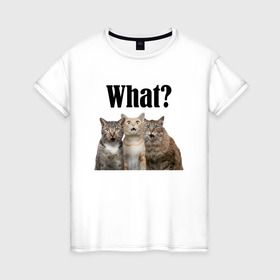 Женская футболка хлопок с принтом Удивленные кошки в Екатеринбурге, 100% хлопок | прямой крой, круглый вырез горловины, длина до линии бедер, слегка спущенное плечо | веселые | котенок | котики | кошка | кошки | трио | удивление | удивленные
