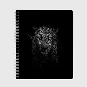 Тетрадь с принтом Леопард в Екатеринбурге, 100% бумага | 48 листов, плотность листов — 60 г/м2, плотность картонной обложки — 250 г/м2. Листы скреплены сбоку удобной пружинной спиралью. Уголки страниц и обложки скругленные. Цвет линий — светло-серый
 | животные | звери | картинки | кошки | крупные | леопард | прикольные | хищник