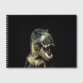 Альбом для рисования с принтом Динозавр T-Rex в Екатеринбурге, 100% бумага
 | матовая бумага, плотность 200 мг. | dino | dinosauria | t rex | ti rex | дино | динозавр | парк юрского | т рекс | ти рекс | чудовище | юрский период | ящер | ящерица