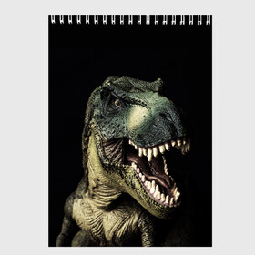 Скетчбук с принтом Динозавр T-Rex в Екатеринбурге, 100% бумага
 | 48 листов, плотность листов — 100 г/м2, плотность картонной обложки — 250 г/м2. Листы скреплены сверху удобной пружинной спиралью | dino | dinosauria | t rex | ti rex | дино | динозавр | парк юрского | т рекс | ти рекс | чудовище | юрский период | ящер | ящерица