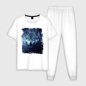 Мужская пижама хлопок с принтом Волк в Екатеринбурге, 100% хлопок | брюки и футболка прямого кроя, без карманов, на брюках мягкая резинка на поясе и по низу штанин
 | wolf | волк | волк в лесу | волк с голубыми глазами | лесной волк | ночной волк | синий волк | собака | темный волк