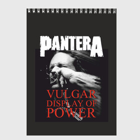 Скетчбук с принтом PANTERA VULGAR OF POWER в Екатеринбурге, 100% бумага
 | 48 листов, плотность листов — 100 г/м2, плотность картонной обложки — 250 г/м2. Листы скреплены сверху удобной пружинной спиралью | pantera vulgar display of power | rock | вульгарный альбом | музыка | пантера | рок группа