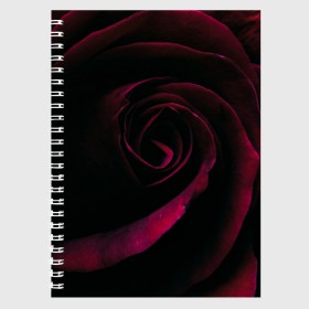 Тетрадь с принтом Dark Rose в Екатеринбурге, 100% бумага | 48 листов, плотность листов — 60 г/м2, плотность картонной обложки — 250 г/м2. Листы скреплены сбоку удобной пружинной спиралью. Уголки страниц и обложки скругленные. Цвет линий — светло-серый
 | art | dark | flower | red | rose | арт | бутон | лепестки | роза | текстура | темный | цветы