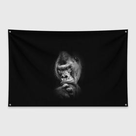 Флаг-баннер с принтом Ruanda в Екатеринбурге, 100% полиэстер | размер 67 х 109 см, плотность ткани — 95 г/м2; по краям флага есть четыре люверса для крепления | eyes | gorilla | muzzle | nostrils | paw | ruanda | view | взгляд | глаза | горилла | животные | лапа | ноздри | руанда