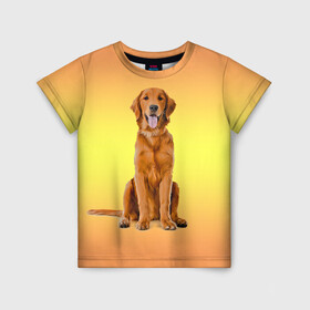 Детская футболка 3D с принтом Золотистый ретривер в Екатеринбурге, 100% гипоаллергенный полиэфир | прямой крой, круглый вырез горловины, длина до линии бедер, чуть спущенное плечо, ткань немного тянется | домашние любимцы | животные | золотистый ретривер | собака