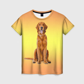 Женская футболка 3D с принтом Золотистый ретривер в Екатеринбурге, 100% полиэфир ( синтетическое хлопкоподобное полотно) | прямой крой, круглый вырез горловины, длина до линии бедер | домашние любимцы | животные | золотистый ретривер | собака