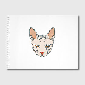 Альбом для рисования с принтом Сфинкс в Екатеринбурге, 100% бумага
 | матовая бумага, плотность 200 мг. | Тематика изображения на принте: арт | животные | картинка | лысая кошка | лысый кот | мультяшный принт | нарисованная кошка | нарисованный кот | принт | рисунок | сфинкс