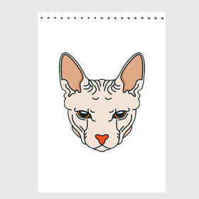 Скетчбук с принтом Сфинкс в Екатеринбурге, 100% бумага
 | 48 листов, плотность листов — 100 г/м2, плотность картонной обложки — 250 г/м2. Листы скреплены сверху удобной пружинной спиралью | Тематика изображения на принте: арт | животные | картинка | лысая кошка | лысый кот | мультяшный принт | нарисованная кошка | нарисованный кот | принт | рисунок | сфинкс