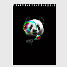 Скетчбук с принтом Панда и мыльный пузырь в Екатеринбурге, 100% бумага
 | 48 листов, плотность листов — 100 г/м2, плотность картонной обложки — 250 г/м2. Листы скреплены сверху удобной пружинной спиралью | Тематика изображения на принте: арт | животные | забавная панда | зверь панда | мыльный пузырь | панда | панды | пузырь | рисунок
