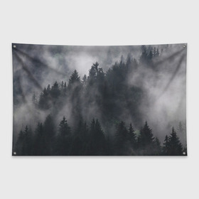 Флаг-баннер с принтом Лес в Екатеринбурге, 100% полиэстер | размер 67 х 109 см, плотность ткани — 95 г/м2; по краям флага есть четыре люверса для крепления | арт | дерево | деревья | зеленый | картинка | лес | небо | облака | облако | природа | рисунок | темный