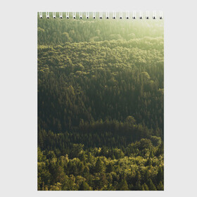 Скетчбук с принтом Летний лес в Екатеринбурге, 100% бумага
 | 48 листов, плотность листов — 100 г/м2, плотность картонной обложки — 250 г/м2. Листы скреплены сверху удобной пружинной спиралью | дерево | деревья | зеленый | лес | лето | небо | облако | солнце | темный | ярко