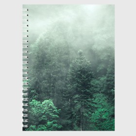 Тетрадь с принтом Туманный лес в Екатеринбурге, 100% бумага | 48 листов, плотность листов — 60 г/м2, плотность картонной обложки — 250 г/м2. Листы скреплены сбоку удобной пружинной спиралью. Уголки страниц и обложки скругленные. Цвет линий — светло-серый
 | Тематика изображения на принте: дерево | деревья | зеленый | лес | облака | облако | снег | темный