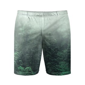 Мужские шорты спортивные с принтом Туманный лес в Екатеринбурге,  |  | Тематика изображения на принте: дерево | деревья | зеленый | лес | облака | облако | снег | темный