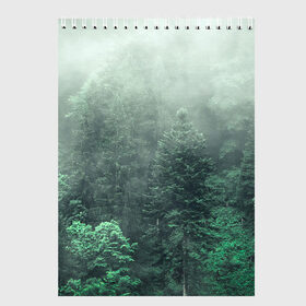 Скетчбук с принтом Туманный лес в Екатеринбурге, 100% бумага
 | 48 листов, плотность листов — 100 г/м2, плотность картонной обложки — 250 г/м2. Листы скреплены сверху удобной пружинной спиралью | дерево | деревья | зеленый | лес | облака | облако | снег | темный