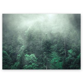 Поздравительная открытка с принтом Туманный лес в Екатеринбурге, 100% бумага | плотность бумаги 280 г/м2, матовая, на обратной стороне линовка и место для марки
 | дерево | деревья | зеленый | лес | облака | облако | снег | темный