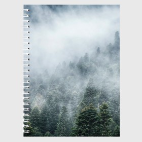 Тетрадь с принтом Туманный лес в Екатеринбурге, 100% бумага | 48 листов, плотность листов — 60 г/м2, плотность картонной обложки — 250 г/м2. Листы скреплены сбоку удобной пружинной спиралью. Уголки страниц и обложки скругленные. Цвет линий — светло-серый
 | Тематика изображения на принте: белый | зеленый | лес | облака | облако | природа | темный | туман