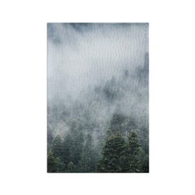 Обложка для паспорта матовая кожа с принтом Туманный лес в Екатеринбурге, натуральная матовая кожа | размер 19,3 х 13,7 см; прозрачные пластиковые крепления | Тематика изображения на принте: белый | зеленый | лес | облака | облако | природа | темный | туман