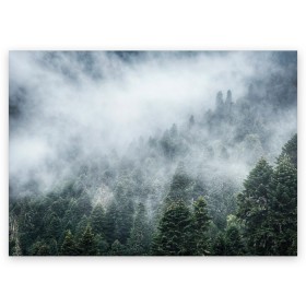 Поздравительная открытка с принтом Туманный лес в Екатеринбурге, 100% бумага | плотность бумаги 280 г/м2, матовая, на обратной стороне линовка и место для марки
 | белый | зеленый | лес | облака | облако | природа | темный | туман
