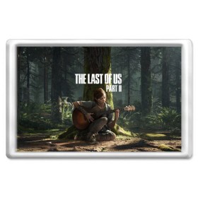 Магнит 45*70 с принтом The Last of Us part 2 в Екатеринбурге, Пластик | Размер: 78*52 мм; Размер печати: 70*45 | 