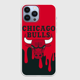 Чехол для iPhone 13 Pro Max с принтом Chicago Bulls. в Екатеринбурге,  |  | 23 | air jordan | bulls | chicago bulls | jordan | michael jordan | nba | paris saint germain | psg | red | sport | быки | джордан | майкл джордан | псж | спорт | чикаго буллс