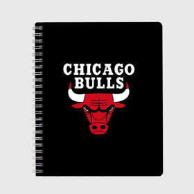 Тетрадь с принтом CHICAGO BULLS в Екатеринбурге, 100% бумага | 48 листов, плотность листов — 60 г/м2, плотность картонной обложки — 250 г/м2. Листы скреплены сбоку удобной пружинной спиралью. Уголки страниц и обложки скругленные. Цвет линий — светло-серый
 | Тематика изображения на принте: bulls | chicago | chicago bulls | nba | red bulls | usa | америка | быки | нба | сша | чикаго буллс