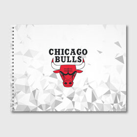 Альбом для рисования с принтом CHICAGO BULLS в Екатеринбурге, 100% бумага
 | матовая бумага, плотность 200 мг. | bulls | chicago | chicago bulls | nba | red bulls | usa | америка | быки | нба | сша | чикаго буллс