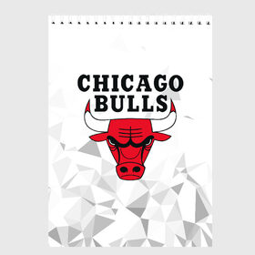 Скетчбук с принтом CHICAGO BULLS в Екатеринбурге, 100% бумага
 | 48 листов, плотность листов — 100 г/м2, плотность картонной обложки — 250 г/м2. Листы скреплены сверху удобной пружинной спиралью | Тематика изображения на принте: bulls | chicago | chicago bulls | nba | red bulls | usa | америка | быки | нба | сша | чикаго буллс