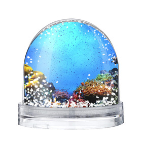 Снежный шар с принтом Подводный мир в Екатеринбурге, Пластик | Изображение внутри шара печатается на глянцевой фотобумаге с двух сторон | аква | аквариум | актинии | вода | море | морские | морские звезды | морской | океан | под водой | подводный мир | пузырьки | рыба | рыба клоун | рыбы