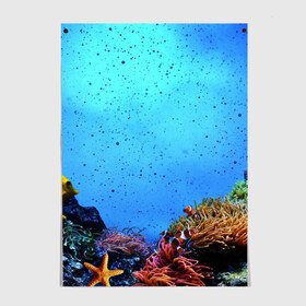 Постер с принтом Подводный мир в Екатеринбурге, 100% бумага
 | бумага, плотность 150 мг. Матовая, но за счет высокого коэффициента гладкости имеет небольшой блеск и дает на свету блики, но в отличии от глянцевой бумаги не покрыта лаком | аква | аквариум | актинии | вода | море | морские | морские звезды | морской | океан | под водой | подводный мир | пузырьки | рыба | рыба клоун | рыбы
