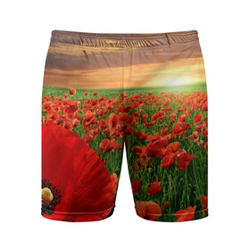 Мужские шорты спортивные с принтом Красный мак на закате в Екатеринбурге,  |  | закат | лето | мак | небо | поле | природа | солнце | текстуры | тренды | цветы