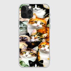 Чехол для iPhone 12 Pro Max с принтом КОТЫ в Екатеринбурге, Силикон |  | cat | взгляд | кот | кот хипстер | котёнок | котятки | котятушки | кошечки | кошка | мордочка