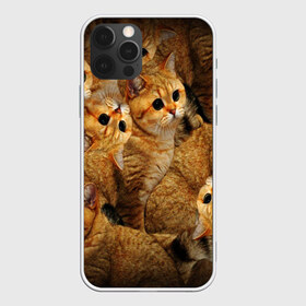 Чехол для iPhone 12 Pro Max с принтом КОТЯТУШКИ в Екатеринбурге, Силикон |  | Тематика изображения на принте: cat | взгляд | кот | кот хипстер | котёнок | котятки | котятушки | кошечки | кошка | мордочка