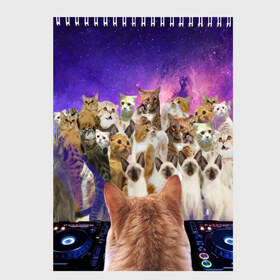 Скетчбук с принтом КОТ DJ в Екатеринбурге, 100% бумага
 | 48 листов, плотность листов — 100 г/м2, плотность картонной обложки — 250 г/м2. Листы скреплены сверху удобной пружинной спиралью | cat | взгляд | кот | кот хипстер | котёнок | котятки | котятушки | кошечки | кошка | мордочка