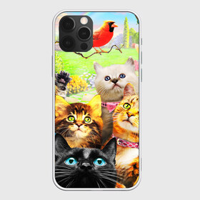 Чехол для iPhone 12 Pro Max с принтом КОТЫ в Екатеринбурге, Силикон |  | Тематика изображения на принте: cat | взгляд | кот | кот хипстер | котёнок | котятки | котятушки | кошечки | кошка | мордочка